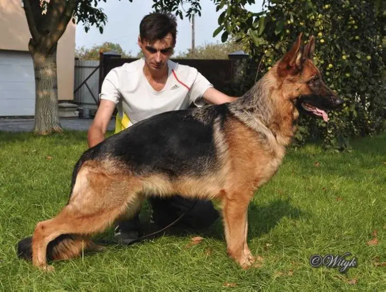 Danka vom Eßweiler Tal