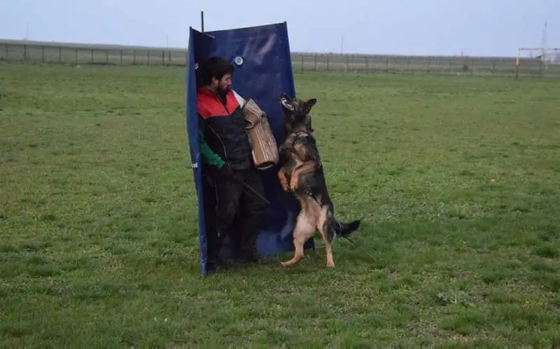 Frieda von den Heldensage