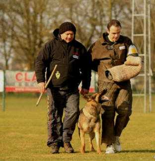 SG Bali vom Kristallberg