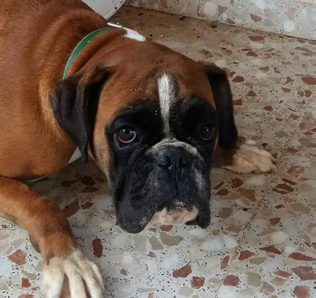 Eska del cabezo la jara