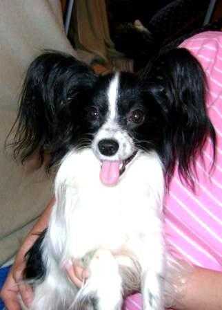 Lav Imidg Keysi Kiss Ketrin