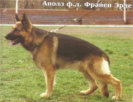 V Apoll von der Freien Erde