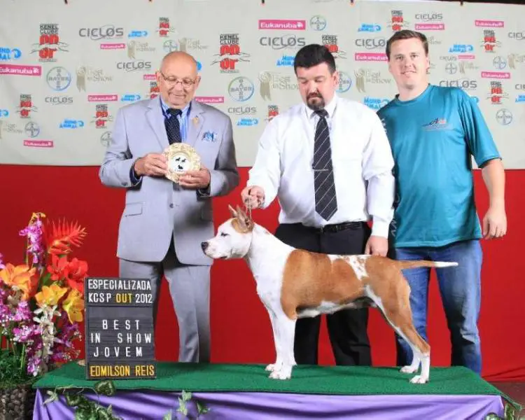 Agatha do American Pride