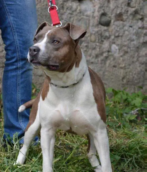 Marylin Monroe Mrs.ruffian