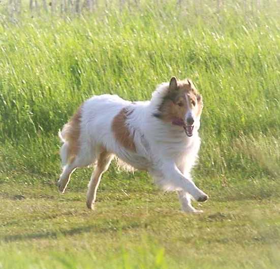 Fairlight's A Stitch in Time