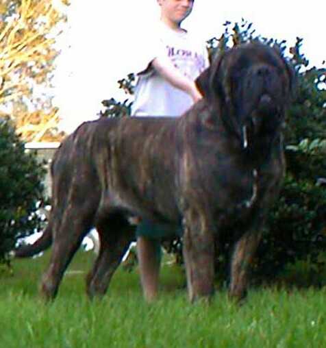 Greiner Hall Man In Black