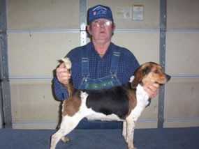 Scrogham's Ladys Lady