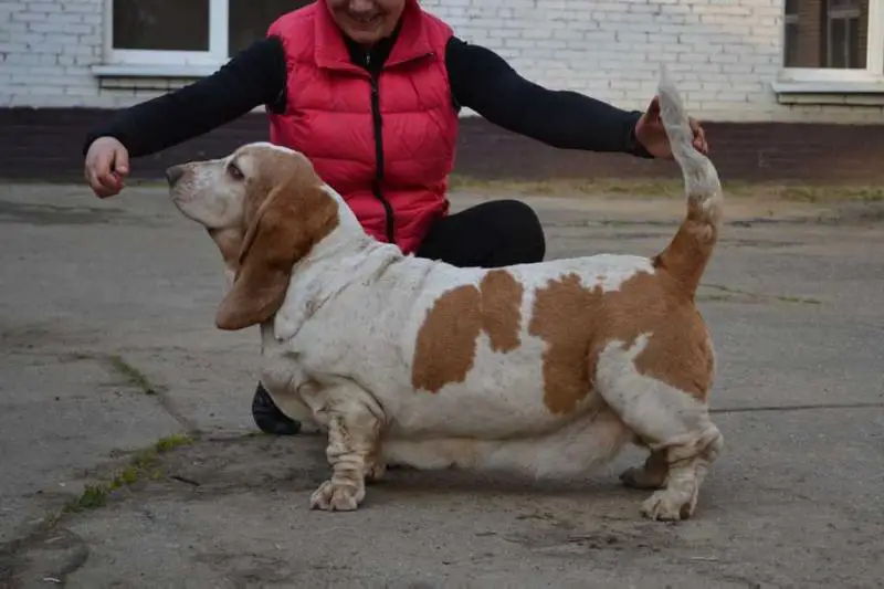 Kolletto Bianko Jacqueline