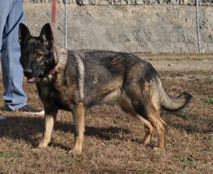 Erika Leona Von Diamond