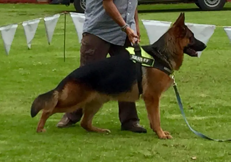 V Iron zum Kolbenguß