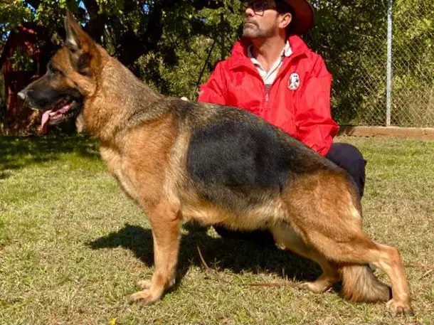 Paris vom Tamaraspitze