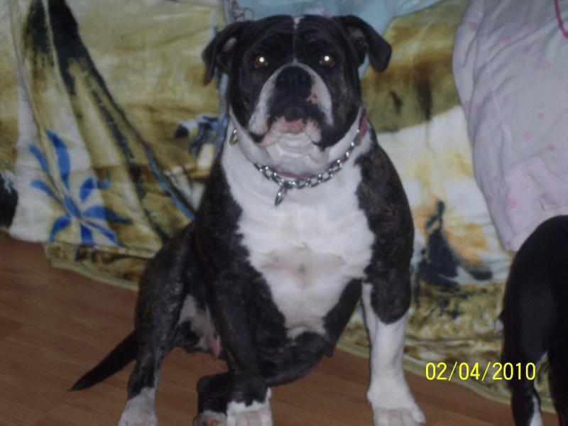 CRK's CeCellia C C AKA CeCillia