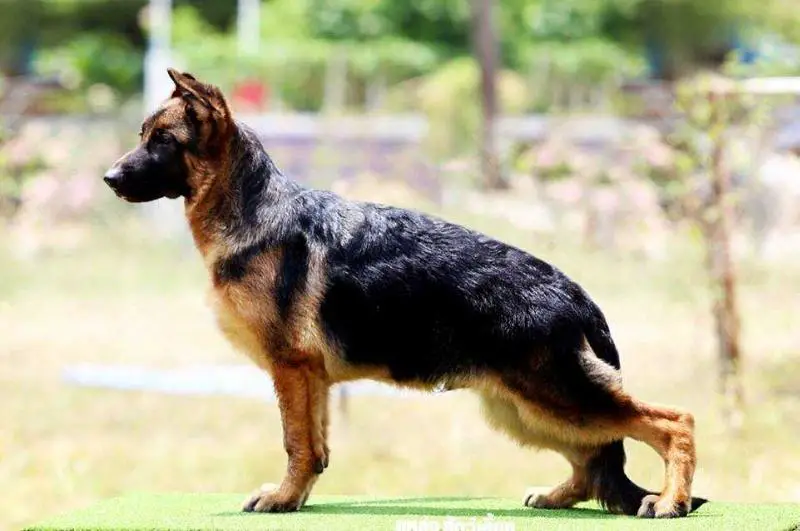 Lumen vom Branch Mark