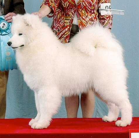 VANDERBILT'S GETAWAY CAR