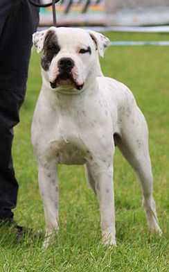 Proud Heroes X-Men Nightcrawler aka Kurt