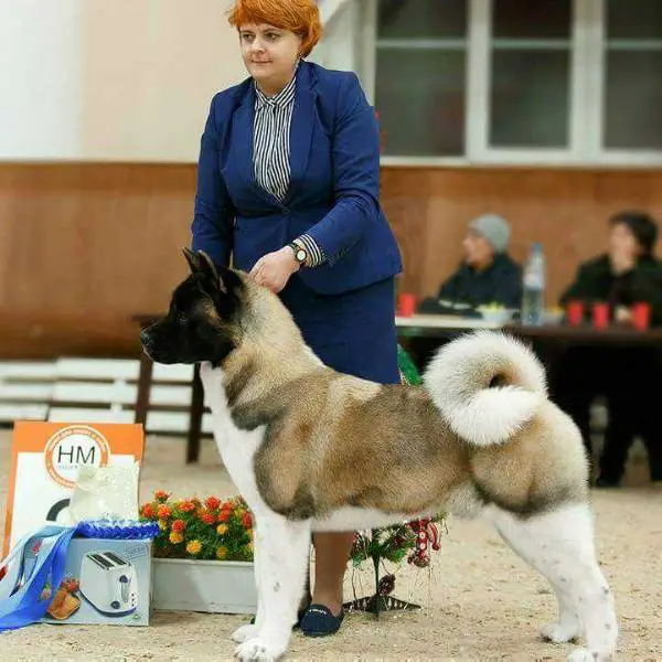 Indevor Present Perfect