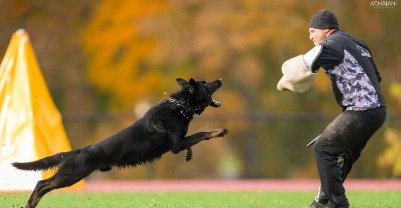 Heaven vom tapferen Krieger