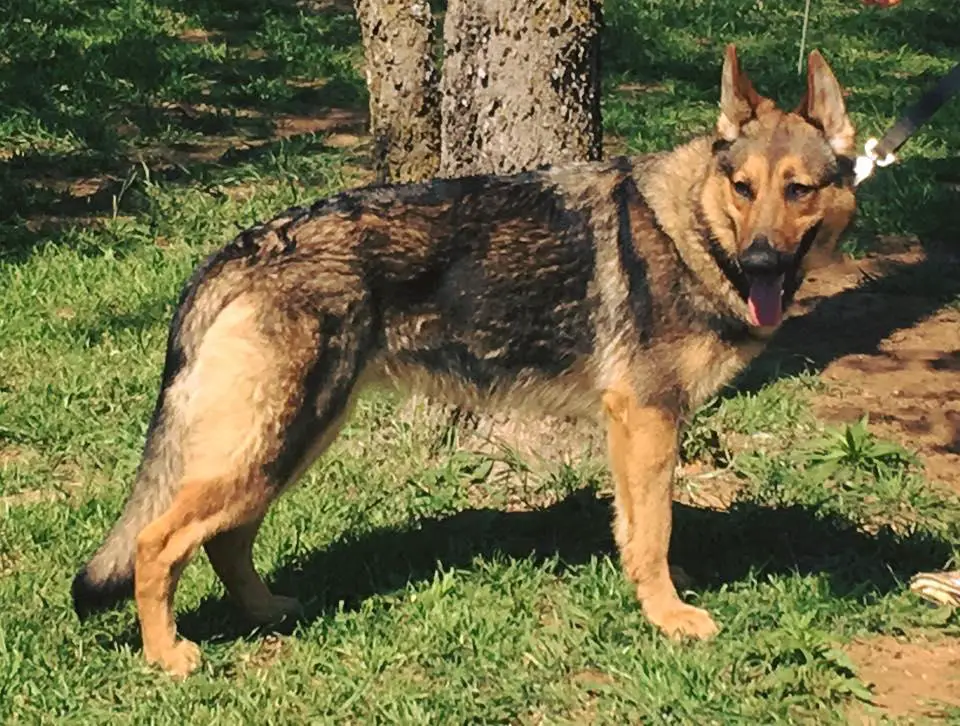 Mint Julep Von Cacao