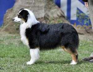 Honey Moon of crystal lake