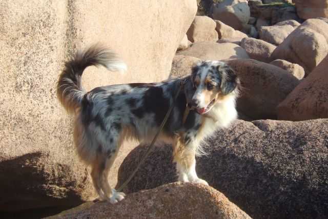 Exquisitas Beautiful Ginny