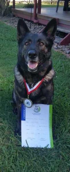 Kayrossi Prime Suspect A Z