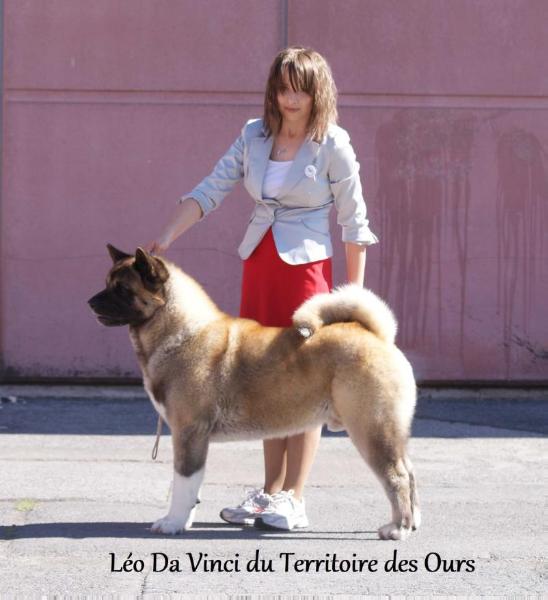 Cotation 4 Léo Da Vinci du Territoire des Ours