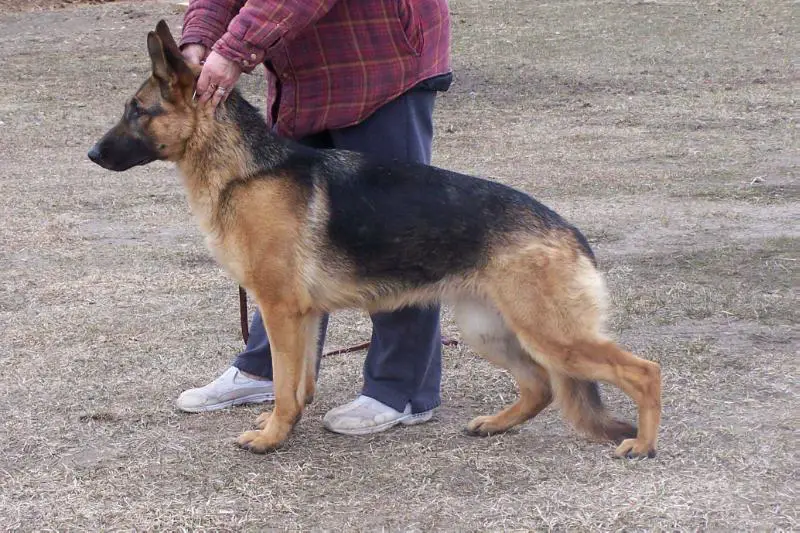 Eclipse vom Backstromhus