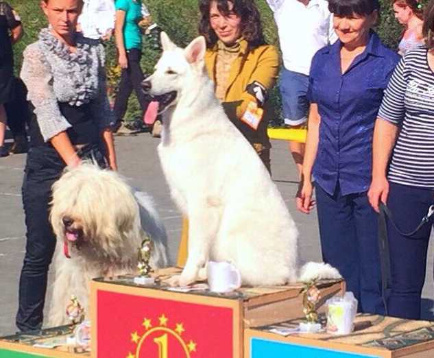 Excellent Gretta Donna Karel