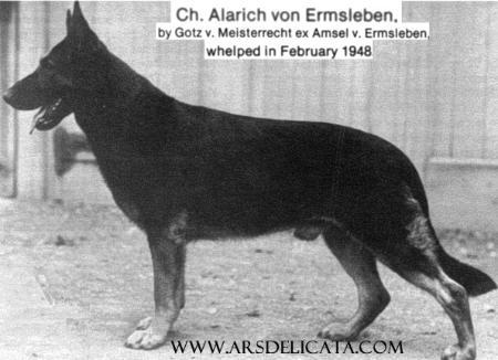 CH (US) Alarich von Ermsleben