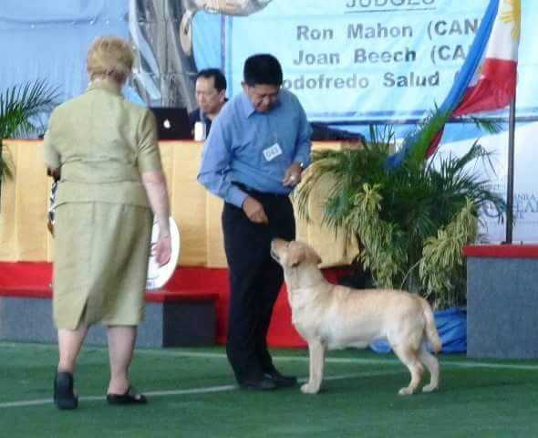 Portsmouth Faith N Brenchis