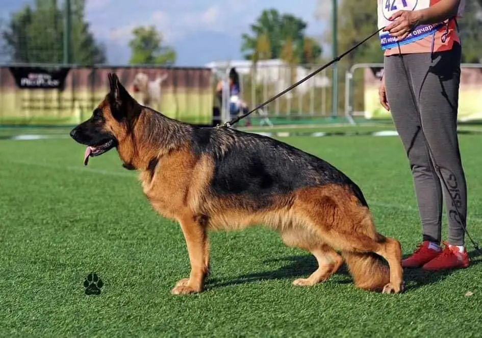 Bior Arbeits Aristokraten