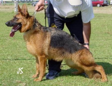 SG America de Los Perrucos