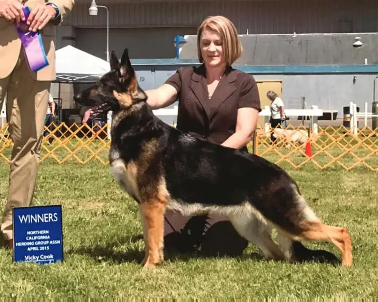 Ch Sharlen’s Fancy That