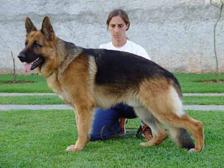 V Kara vom Katjedeep