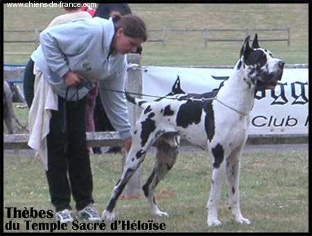 Thebes du Temple Sacré d'héloïse