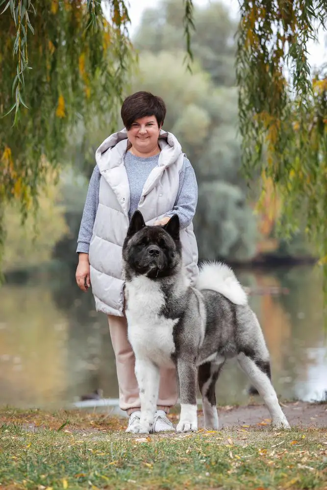 MBBBIS UKR SGCH/GCH/CH/JGCH/JCH Serdtse Voina Etan