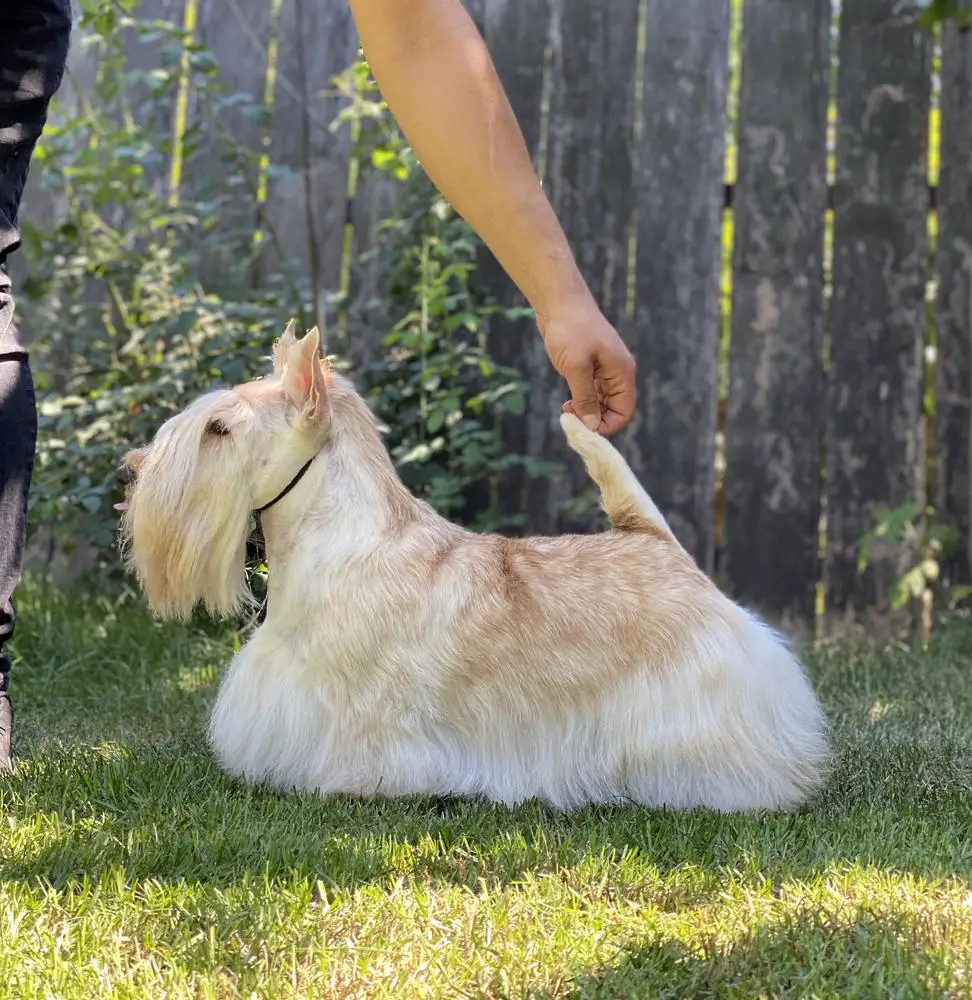 Multi CH. Raibeart Baby Don't Cry