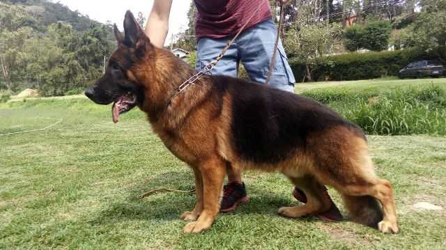 Argos do Vale da Floresta