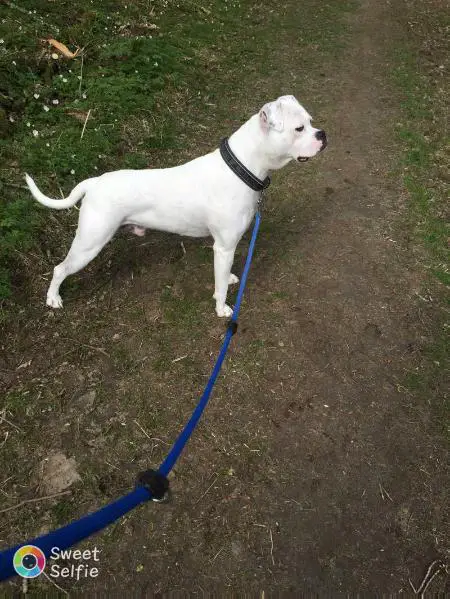 SNOW WHITES SOUTH POLAR PIT