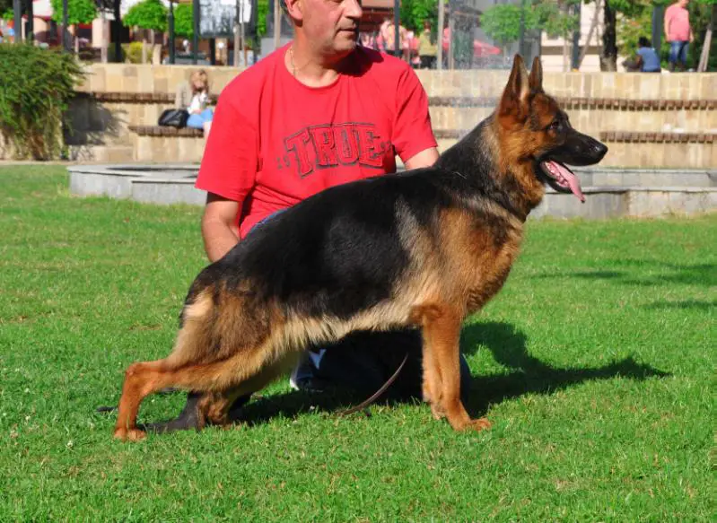 SG1 Miha v.d. Alexander