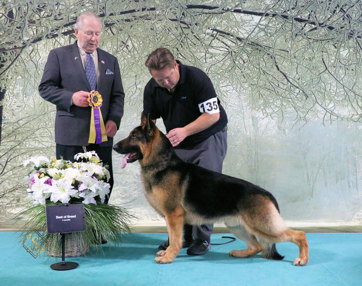 BEST IN FUTURITY RESERVE MATURITY GCH CHAMPION Cherpa-Coastline High Stakes