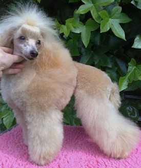 Jack Pot Miss Aleksandra