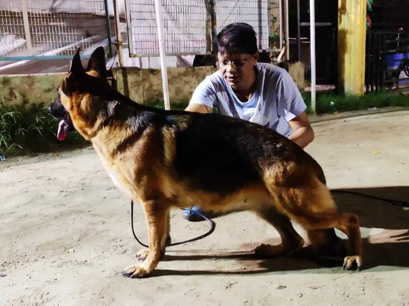 SG Robin's Shasha di Casa Anjos