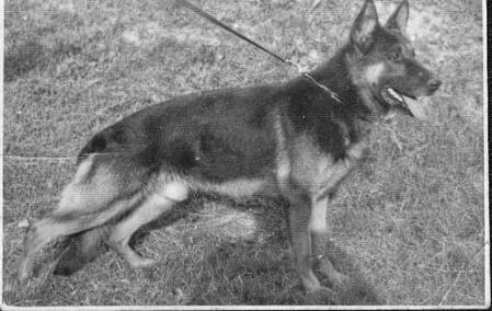 V Quanto vom Bierstadter Hof