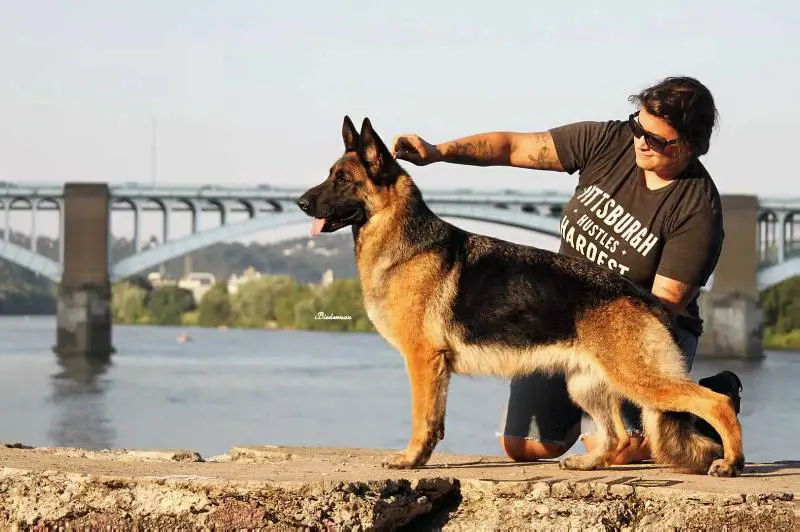 Kysarah's Lil Miss Diva v Gretchanya