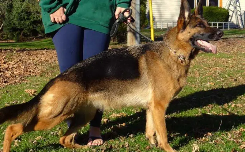 Mara Von Der Stadtrand II