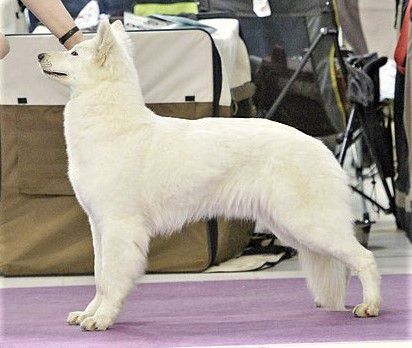 Aknur Gul Tsesarevna Slavutishna