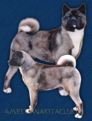 CAN/FR/LUX CH Serdess Dark Shadows