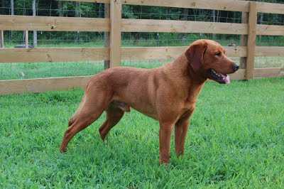 HRCH UH BOK Risky Business