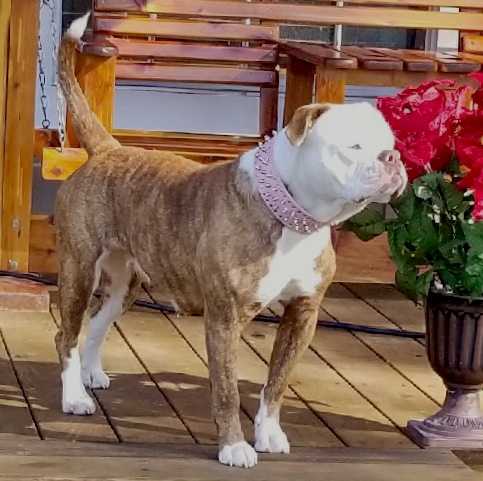 ColeCreek’s Austin